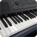 Logo of Real Piano-Piano Keyboard android Application 